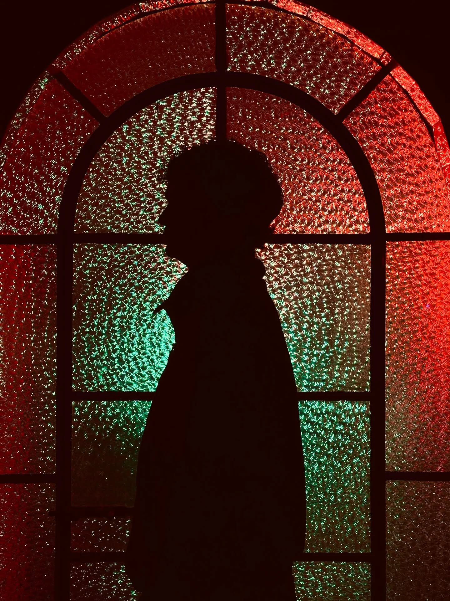 Leaf Blower - Sopladora de Hojas